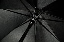 G. chuva longo autom.2